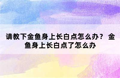 请教下金鱼身上长白点怎么办？ 金鱼身上长白点了怎么办